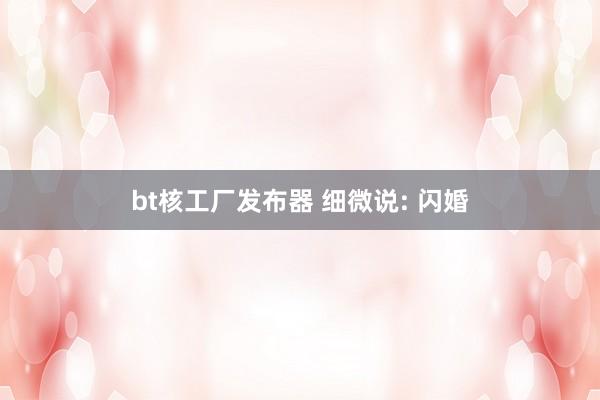 bt核工厂发布器 细微说: 闪婚