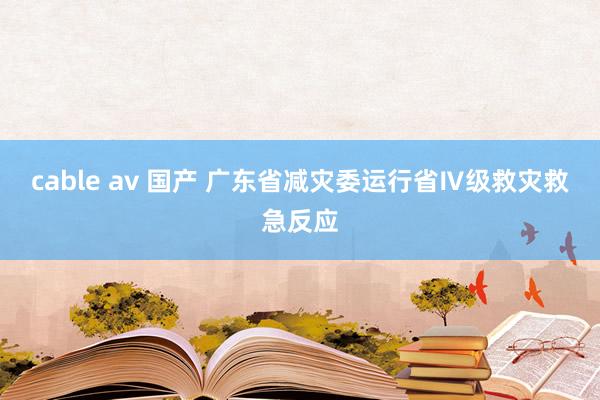 cable av 国产 广东省减灾委运行省Ⅳ级救灾救急反应