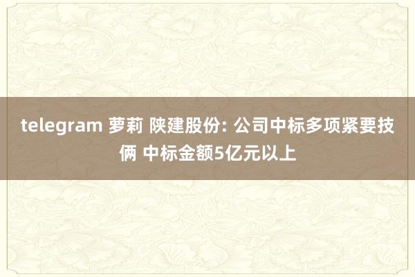 telegram 萝莉 陕建股份: 公司中标多项紧要技俩 中标金额5亿元以上