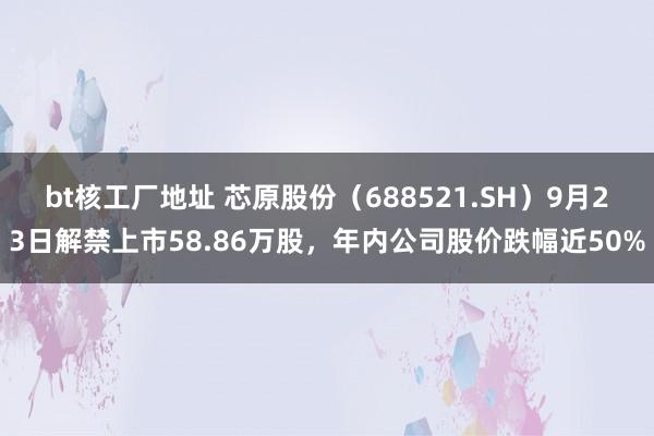 bt核工厂地址 芯原股份（688521.SH）9月23日解禁上市58.86万股，年内公司股价跌幅近50%