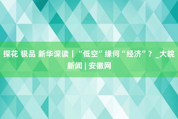 探花 极品 新华深读｜“低空”缘何“经济”？_大皖新闻 | 安徽网