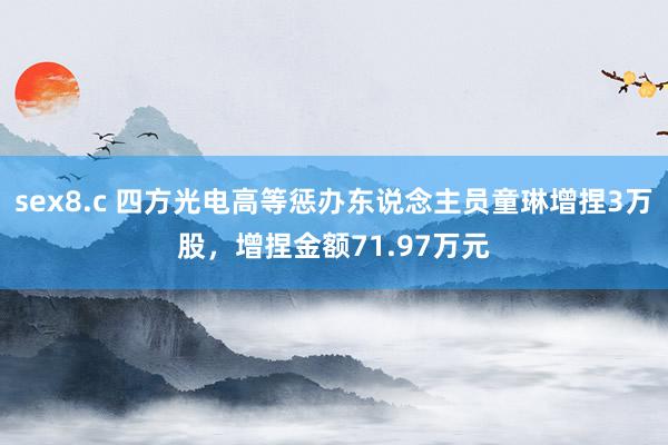 sex8.c 四方光电高等惩办东说念主员童琳增捏3万股，增捏金额71.97万元