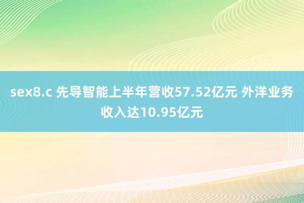 sex8.c 先导智能上半年营收57.52亿元 外洋业务收入达10.95亿元