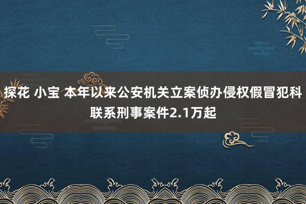 探花 小宝 本年以来公安机关立案侦办侵权假冒犯科联系刑事案件2.1万起