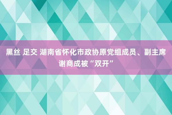 黑丝 足交 湖南省怀化市政协原党组成员、副主席谢商成被“双开”