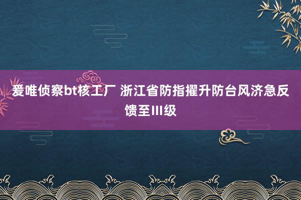 爰唯侦察bt核工厂 浙江省防指擢升防台风济急反馈至Ⅲ级