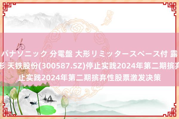 パナソニック 分電盤 大形リミッタースペース付 露出・半埋込両用形 天铁股份(300587.SZ)停止实践2024年第二期摈弃性股票激发决策