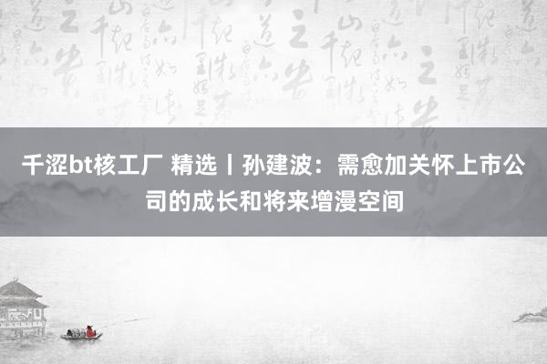 千涩bt核工厂 精选丨孙建波：需愈加关怀上市公司的成长和将来增漫空间