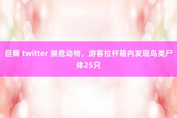 巨臀 twitter 濒危动物，游客拉杆箱内发现鸟类尸体25只