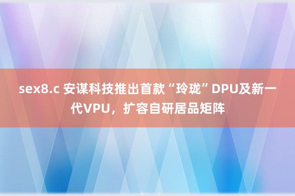 sex8.c 安谋科技推出首款“玲珑”DPU及新一代VPU，扩容自研居品矩阵