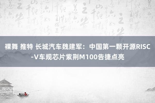 裸舞 推特 长城汽车魏建军：中国第一颗开源RISC-V车规芯片紫荆M100告捷点亮