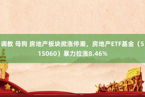 调教 母狗 房地产板块掀涨停潮，房地产ETF基金（515060）暴力拉涨8.46%