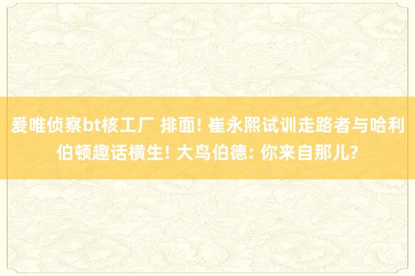 爰唯侦察bt核工厂 排面! 崔永熙试训走路者与哈利伯顿趣话横生! 大鸟伯德: 你来自那儿?