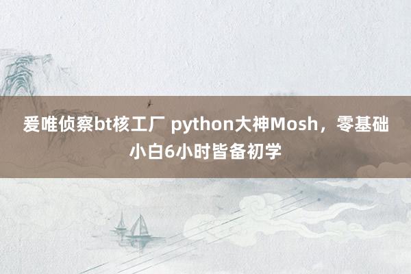 爰唯侦察bt核工厂 python大神Mosh，零基础小白6小时皆备初学