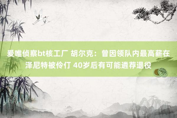 爰唯侦察bt核工厂 胡尔克：曾因领队内最高薪在泽尼特被伶仃 40岁后有可能遴荐退役