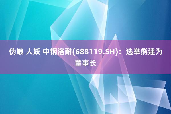 伪娘 人妖 中钢洛耐(688119.SH)：选举熊建为董事长