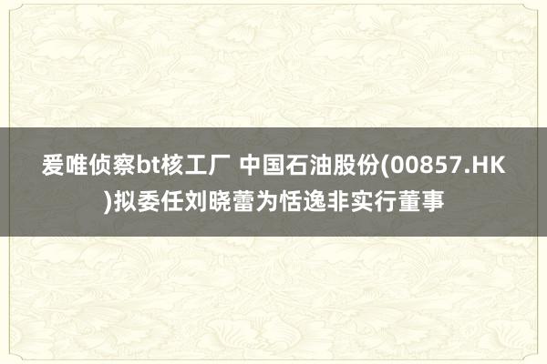 爰唯侦察bt核工厂 中国石油股份(00857.HK)拟委任刘晓蕾为恬逸非实行董事