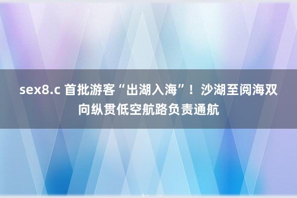 sex8.c 首批游客“出湖入海”！沙湖至阅海双向纵贯低空航路负责通航