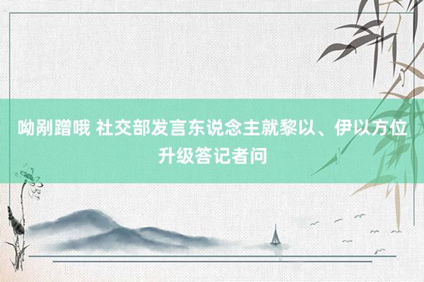 呦剐蹭哦 社交部发言东说念主就黎以、伊以方位升级答记者问