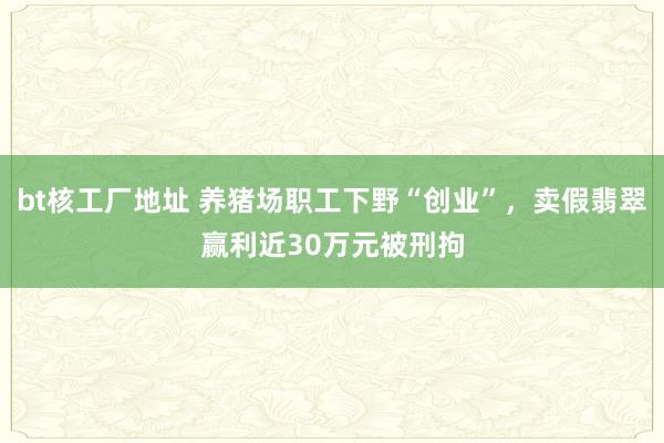 bt核工厂地址 养猪场职工下野“创业”，卖假翡翠赢利近30万元被刑拘