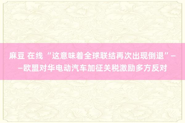 麻豆 在线 “这意味着全球联结再次出现倒退”——欧盟对华电动汽车加征关税激励多方反对