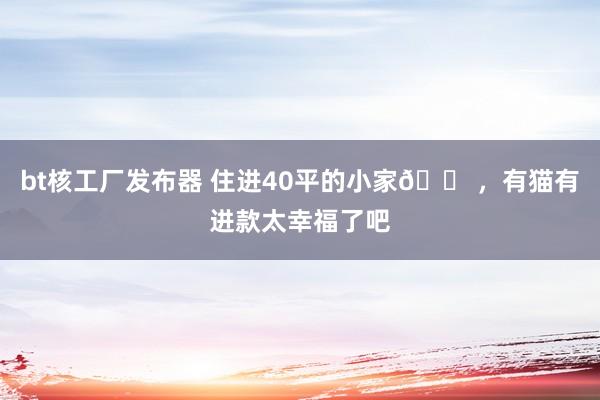 bt核工厂发布器 住进40平的小家🏠，有猫有进款太幸福了吧