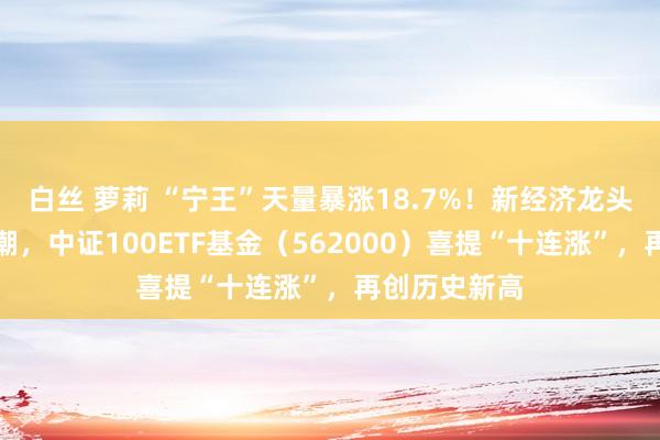 白丝 萝莉 “宁王”天量暴涨18.7%！新经济龙头股再掀涨停潮，中证100ETF基金（562000）喜提“十连涨”，再创历史新高