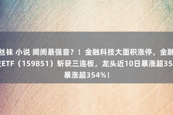 丝袜 小说 阛阓最强音？！金融科技大面积涨停，金融科技ETF（159851）斩获三连板，龙头近10日暴涨超354%！