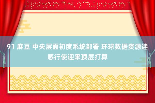 91 麻豆 中央层面初度系统部署 环球数据资源迷惑行使迎来顶层打算