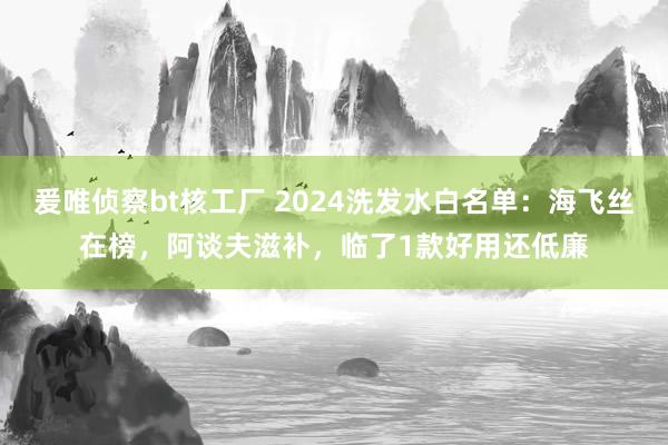 爰唯侦察bt核工厂 2024洗发水白名单：海飞丝在榜，阿谈夫滋补，临了1款好用还低廉