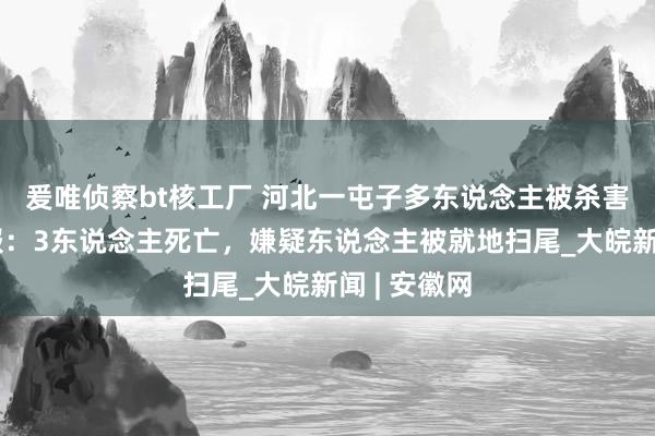 爰唯侦察bt核工厂 河北一屯子多东说念主被杀害，警方通报：3东说念主死亡，嫌疑东说念主被就地扫尾_大皖新闻 | 安徽网