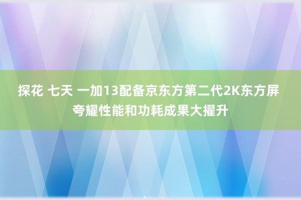 探花 七天 一加13配备京东方第二代2K东方屏 夸耀性能和功耗成果大擢升