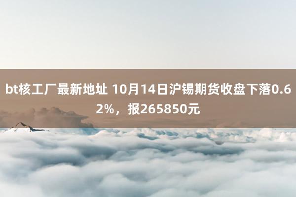 bt核工厂最新地址 10月14日沪锡期货收盘下落0.62%，报265850元