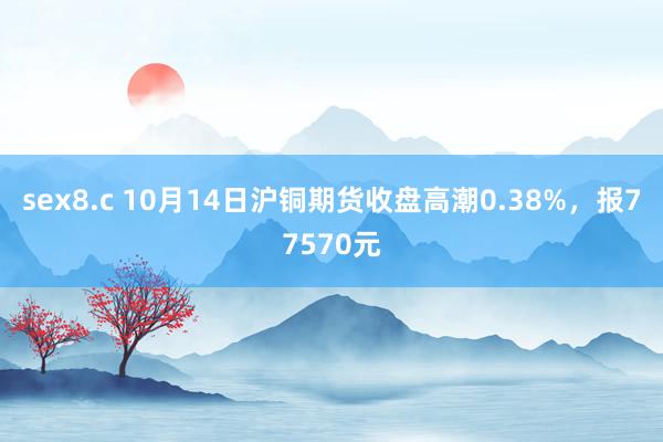 sex8.c 10月14日沪铜期货收盘高潮0.38%，报77570元