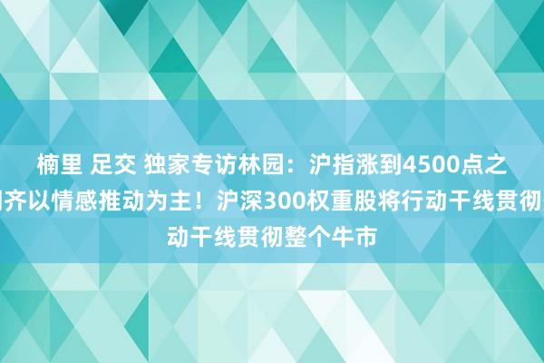 楠里 足交 独家专访林园：沪指涨到4500点之前，阛阓齐以情感推动为主！沪深300权重股将行动干线贯彻整个牛市