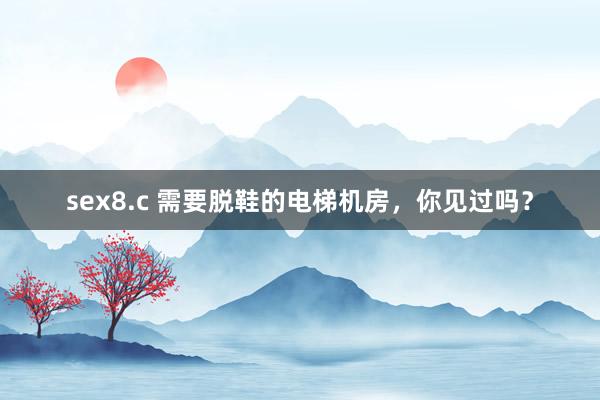 sex8.c 需要脱鞋的电梯机房，你见过吗？