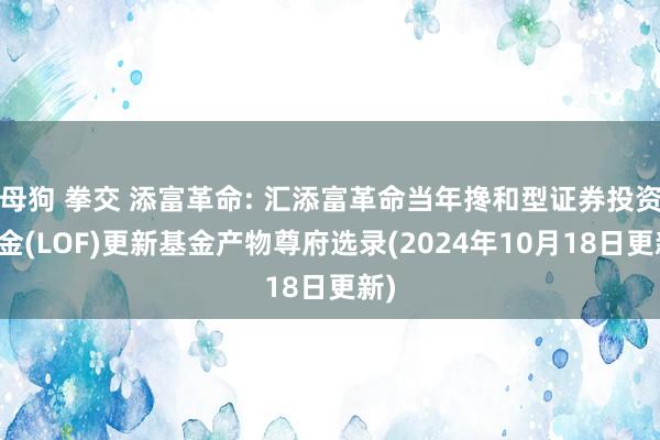 母狗 拳交 添富革命: 汇添富革命当年搀和型证券投资基金(LOF)更新基金产物尊府选录(2024年10月18日更新)