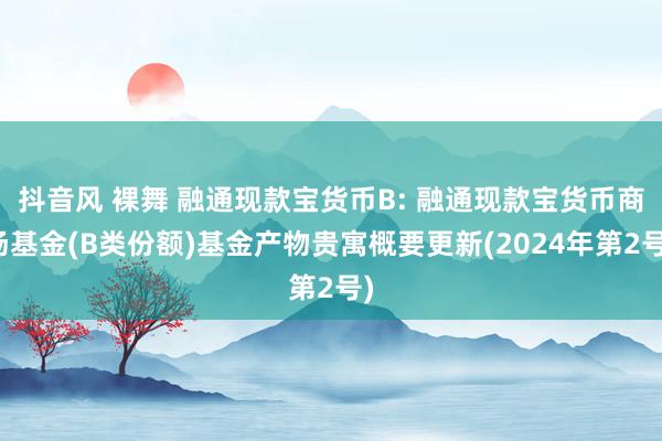 抖音风 裸舞 融通现款宝货币B: 融通现款宝货币商场基金(B类份额)基金产物贵寓概要更新(2024年第2号)