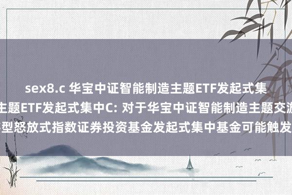 sex8.c 华宝中证智能制造主题ETF发起式集中A，华宝中证智能制造主题ETF发起式集中C: 对于华宝中证智能制造主题交游型怒放式指数证券投资基金发起式集中基金可能触发基金合同阻隔情形的领导性公告