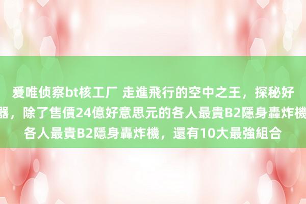 爰唯侦察bt核工厂 走進飛行的空中之王，探秘好意思國空軍的最強利器，除了售價24億好意思元的各人最貴B2隱身轟炸機，還有10大最強組合