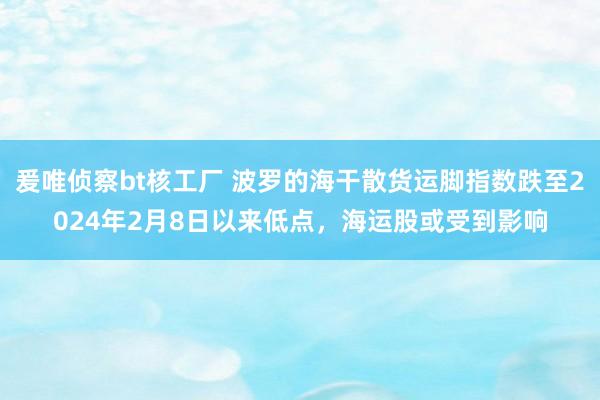 爰唯侦察bt核工厂 波罗的海干散货运脚指数跌至2024年2月8日以来低点，海运股或受到影响