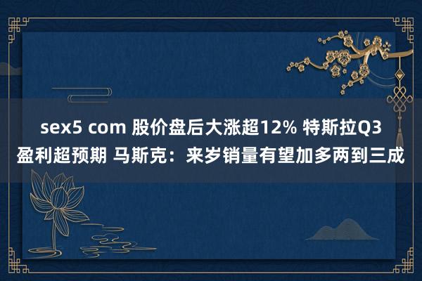 sex5 com 股价盘后大涨超12% 特斯拉Q3盈利超预期 马斯克：来岁销量有望加多两到三成