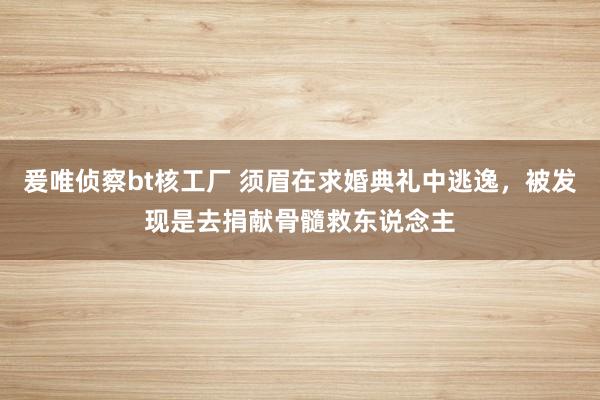 爰唯侦察bt核工厂 须眉在求婚典礼中逃逸，被发现是去捐献骨髓救东说念主