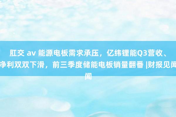 肛交 av 能源电板需求承压，亿纬锂能Q3营收、净利双双下滑，前三季度储能电板销量翻番 |财报见闻