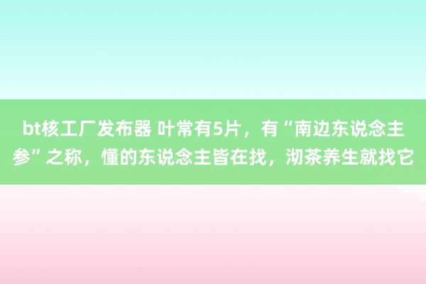 bt核工厂发布器 叶常有5片，有“南边东说念主参”之称，懂的东说念主皆在找，沏茶养生就找它