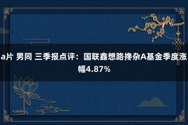 a片 男同 三季报点评：国联鑫想路搀杂A基金季度涨幅4.87%