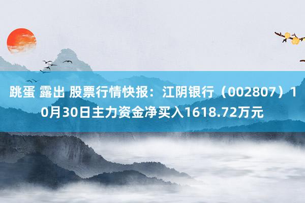 跳蛋 露出 股票行情快报：江阴银行（002807）10月30日主力资金净买入1618.72万元