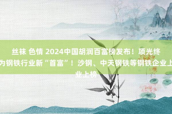 丝袜 色情 2024中国胡润百富榜发布！项光终了为钢铁行业新“首富”！沙钢、中天钢铁等钢铁企业上榜