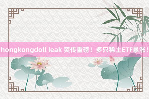 hongkongdoll leak 突传重磅！多只稀土ETF暴涨！