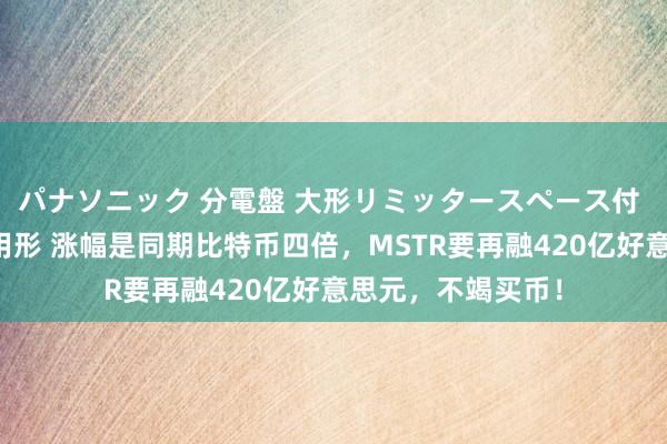 パナソニック 分電盤 大形リミッタースペース付 露出・半埋込両用形 涨幅是同期比特币四倍，MSTR要再融420亿好意思元，不竭买币！